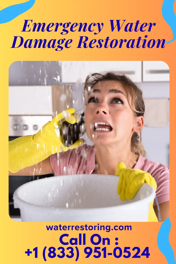 Emergency Water Damage Restoration in Sudden Valley, WA